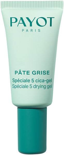 Pâte Grise Payot Pâte Grise Spéciale 5 Cica-Gel