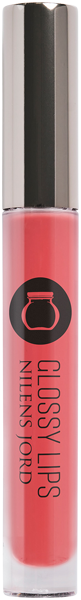 Glossy Lips