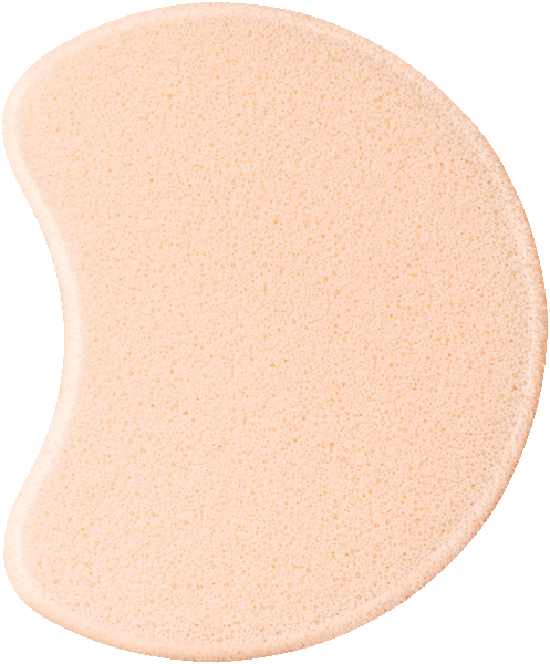 Foundation Sponge