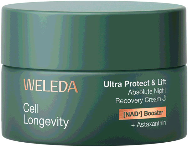 Weleda Night Cream