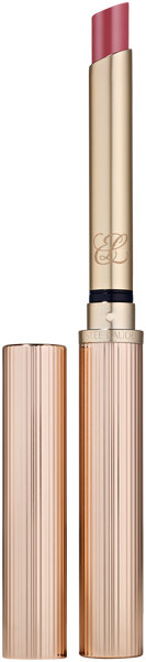 Pure Color Explicit Slick Shine Lipstick