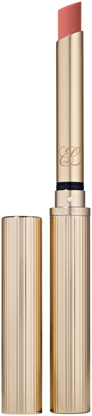 Pure Color Explicit Matte Lipstick