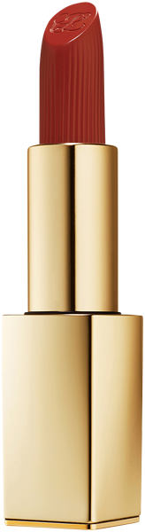 Pure Color Matte Lipstick