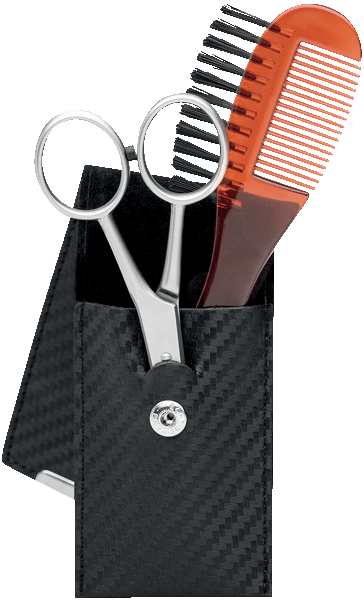 Bartpflege-Etui Carbon, rostfrei