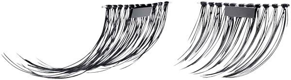 Magnetic Lashes