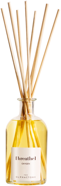 THE OLPHACTORY Breathe OXYGEN Reed Diffuser