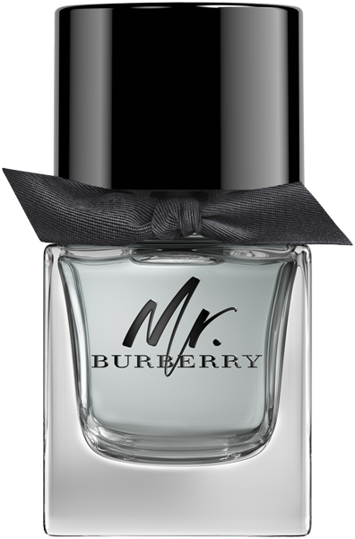 Mr. Burberry Burberry Mr. Burberry Eau de Toilette Nat. Spray