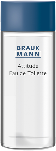 Herrendüfte Hildegard Braukmann BRAUKMANN Attitude Eau de Toilette Nat. Spray