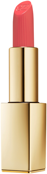 Make-up Estée Lauder Pure Color Matte Lipstick