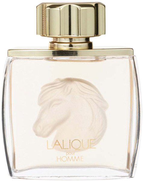 Pour Homme Equus Eau de Parfum Nat. Spray