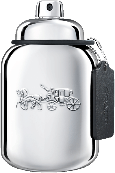 Platinum Eau de Parfum Nat. Spray