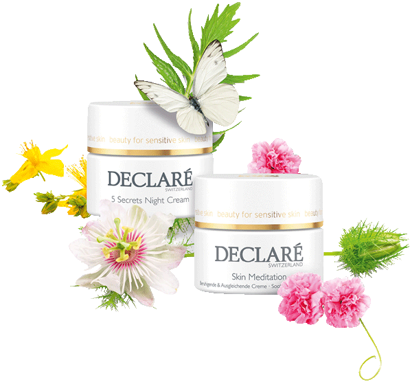 Stress Balance Skin Meditation Vorteilsset