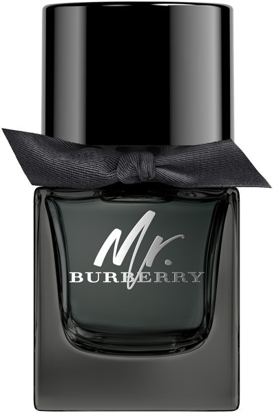 Mr. Burberry Eau de Parfum Nat. Spray