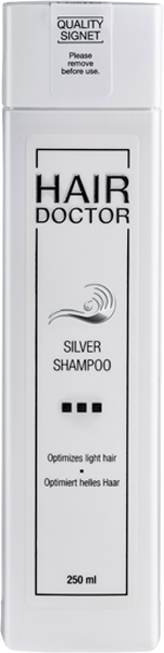 Silver Shampoo