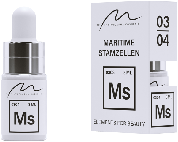 Maritime Stammzellen