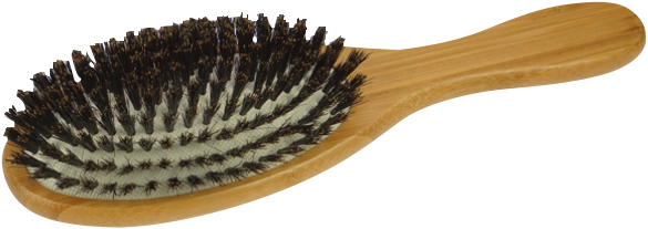 Haarbürste, Bambus-Holz, Naturborste, ovale Form, 21,5x5,5 cm